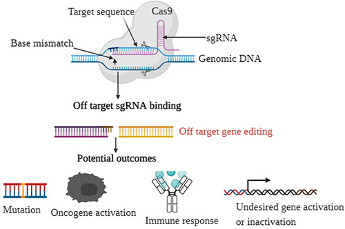 Figure 2 Potential outcomes in the off-target of CRISPR-Cas9. Off-target editing occurs when Cas9 with a particular sgRNA binds and edits at a place other than its target sequence. This may have unanticipated serious consequences, such as mutation, oncogene activation, immune response, and activation/inactivation of undesired genes.