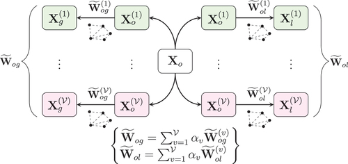 Figure 6. Out-of-sample label propagation: two sparse graphs W˜og(v),W˜ol(v) are constructed for each view v of the out-of-sample batch Xo(v), connecting it to the global Xg(v) and local Xl(v) datasets respectively. The multi-view coefficients α are used to yield the final learned sparse graphs facilitating the labelling of voxels in Xo.