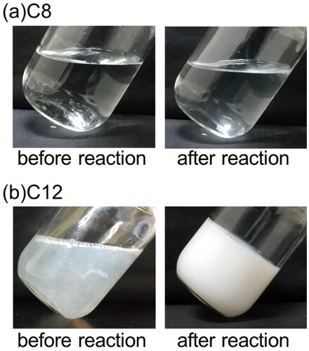 Figure 9. Photographs of reaction solution with C8 and C12 (T = 20 °C, E = 5 V, Q = 1000 C).