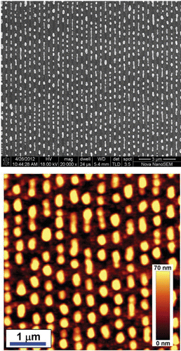 Figure 1. SEM and AFM height images of waveguided MPC structures.