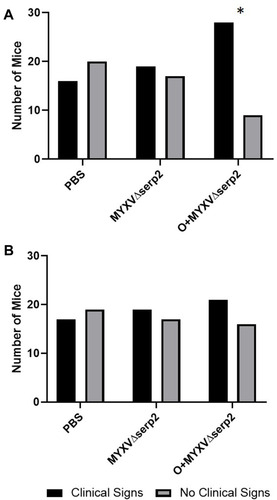 Figure 5 Contingency graphs indicating the number of mice with and without clinical signs of limb swelling, hematoma formation, erythema, and/or ecchymosis in each treatment group on (A) the day of the first intratumoral injection (Day 0) and (B) Day 4. On Day 0, the ratio of mice treated with oclacitinib with MYXVΔserp2 (O+MYXVΔserp2) that had clinical signs was higher than other treatment groups (*P-value = 0.02).