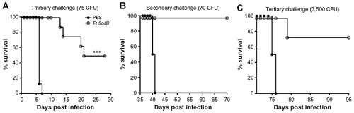 Figure 1 Acute and convalescent protection of C57BL/6 mice vaccinated with a live attenuated Ft vaccine (SodB mutant) and subsequently challenged with high-dose Ft SchuS4.