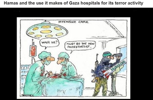 Figure 3. A cartoon of a Hamas fighter in an intensive care unit.Source: John Spooner, Sydney Morning Herald, August 7, 2014 (see endnote Footnote93).