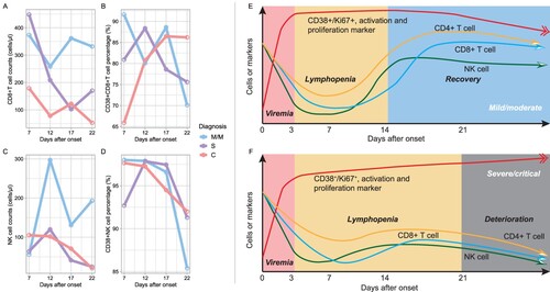 Figure 3. Dynamics of immunophenotype at early stages of COVID-19. Figures A–D refer to the dynamics of counts and activations of CD8+ T cell and natural killer cells based on 66 individual lymphocyte subset data. Each time point was a median of data of 2 days before and after. Figures E-F were hypothesis models describing distinct immunopathology among mild, moderate, severe, and critical illnesses. M/M, mild or moderate illness; S, severe illness; C, critical illness.