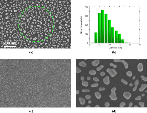 Figure 1. (a) SEM image of the annealed 1 nm nominal thickness Au-coated silicon wafer (26 nm average diameter). Dotted circle indicates approximately the size of the laser spot for Raman/SERS excitation. (b) Particle size distribution for the sample shown in (a). Average was performed on ~2000 particles. (c and d) SEM images of the <1 nm (5 nm) and 2 nm (104 nm) nominal thickness Au-coated silicon wafers respectively. Scaling bar appearing in (a) applies also on (c) and (d).