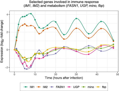 Figure 6. Temporal expression patterns of selected genes involved in immune response (IM1, IM2) and metabolic processes (FASN1, UGP, mino, fbp). Upon infection, immune response genes are immediately up-regulated. At the same time, metabolic genes are down-regulated but return to pre-infection expression levels after 12–24 h, which is before the immune response is resolved.