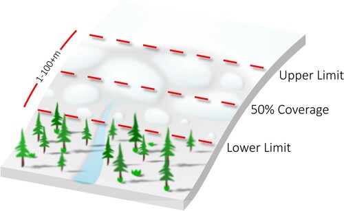 Figure 1. The hypothetical nature of the snowline at finer spatial resolutions. Complex snow edges at the snow-tone stop easy definition and measurement of the snowline. A standardized snowline position is therefore necessary.