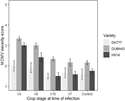 Figure 1. Mean MCMV disease severity scores, 63 days after the first inoculation for three maize varieties inoculated at crop stages V4 (four-leaf), V8 (eight-leaf), V15 (fifteen-leaf), VT- tasselling and control that was not inoculated.