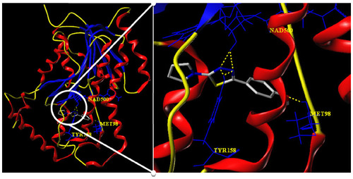 Figure 11 Docking conformation of compound 4b (capped sticks model in atom type color) at the active site (yellow dotted lines indicate H-bond).