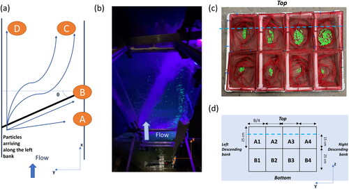 Figure 3. (a) Schematic for proof-of-concept experiments using positively buoyant particles including the four general trajectories of particles based on their final location (A, B, C, D). (b) Photo of semi buoyant (SB) particles being redirected as they pass through the oblique bubble screen (OBS). (c) Picture of the eight-cell net used for particle capture. (d) Sketch showing dimensions of net cells. The blue dashed line in (c) and (d) denotes the water surface level. [θ, diffuser angle; B, channel width; cm, centimetres] (photo credits: V. Prasad, UIUC).