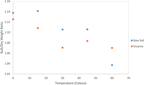 Figure 4. Bulk/Dry weight ratio for the soil mixtures with and without the enzyme product at elevated temperatures.