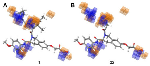 Figure 6 Hydrogen bond donor visualization of a three-dimensional QSAR model on the highest active compound (1) and the least active compound (32).