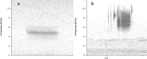 Figure 2. Example spectrograms of two song types (adapted from Pieplow Citation2017) used as covariates (relative to the ‘other’ song type category) in our best approximating model. (a) Click-trill song type represented by a dark-eyed Junco and (b) polynoise-phrase song type represented by a Le Conte’s sparrow. See methods and Appendix A1 for further descriptions of song types.