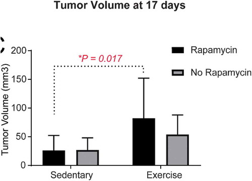 Figure 1. After 17 days of running, mice that were fed a rapamycin diet (14 ppm) had increased tumor burden compared with rapamycin-fed mice that were sedentary (locked running wheels). N = 10 per group, *p = 0.017.