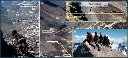 Figure 10. Bare rock and free-face (FF) surfaces showing rock weathering and debris incorporation into screes (SS) and rock glaciers (RG). (a) Looking towards profile II: weathering rock walls connected to scree slopes Weathering ↓, rockfall, dry ravel →, slush avalanches, rainfall/storms. (b) Looking towards the lower Peshashgal valley from [35.9387,71.1406]; scree slopes and RG. No ‘flow’ features are visible on the scree slopes (as might have existed with former permafrost conditions). (c) (inset) GE view of the rock glacier in b. showing the main components on transect 11. In Figure 10(c), transect 11. [35.9368,71.1474],033 ∼500 m long shows a reverse-slope, ‘spoon-shaped depression’, of the down-wasting glacier in scree (SS1><SS2) with a low point at ∼4435 m [35.9386,71.14895]. See also the discussion relating to Figure 11. Images ©Google Earth. (d) (inset) Rock summit at ∼5190 m asl showing rounded rock edges and rock varnish [35.94723,71.11934] indicative of long-term chemical weathering. Images a,b,d ©W.Brian Whalley CC BY-SA 4.0. Image c, ©Google Earth, CNES Airbus, Maxar.