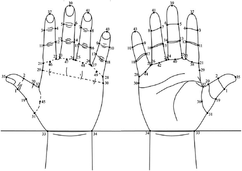 Figure 2. Hand dimension(Yu et al., Citation2013).