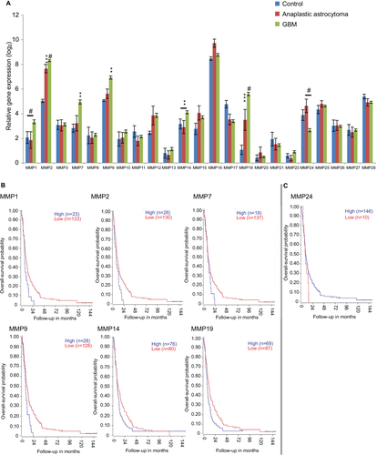 Figure 3 Gene-expression analysis of MMPs of 276 glioma samples of all histologies, with eight control samples.