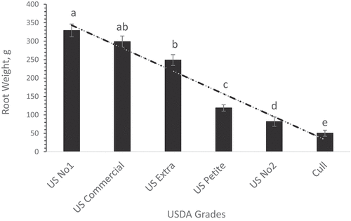 Figure 4. Overall sweet potato root standard USDA grades of plants grown under field conditions regardless of soil treatments. Each bare is an average of three replicates ± standard error. Values in each grade accompanied by the same letter(s) are not significantly different (p ≥ 0.05) using Duncan’s multiple range test (SAS Institute Inc Citation2016).