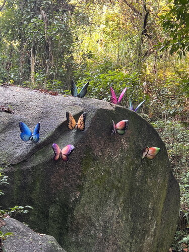 Artificial butterflies in a park, Heyuan, China.