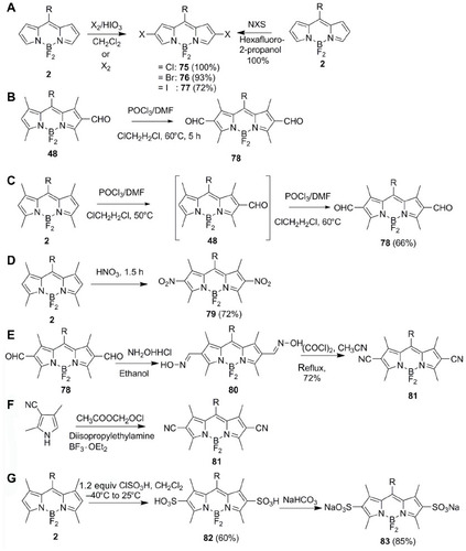 Figure 13 Synthesis of (A) 2,6-dihalo, (B) and (C) 2,6-diformyl, (D) 2,6-dinitro, (E) and (F) 2,6-dicyano and (G) 2,6-disulfonyl functionalized BODIPYs 75–83.