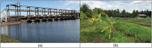 Figure 3. The main Ba lai sluice gate (a) and shrimp farming hidden in the freshwater zone of Thanh Tri Commune (b). Source: the first author.