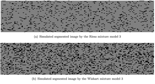 Figure 6. Simulated segmented images by the mixture model 3.