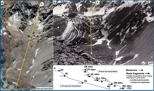 Figure 13. Summary of mapping and information tensors related to the study area, north-facing slopes, and transect 1. [35.9033,71.1720],332. Dashed lines in a and b show corresponding locations in the images. The transects show input and transfers of ice and debris to the resultant landforms. (a) Google Earth Image 2019. Oblique view with transect 1. shown. ©Google Earth. (b) 1976 image taken early summer with corresponding features to a. Note that the section GLd is foreshortened. The upper glacier/snowfield GL shows debris transported by slush avalanches. Image ©W. Brian Whalley CC BY 4.0. (c) Information tensor approach to summarizing transect 1.; feature digraphs as in Table 1. Note that RG in the lower section with surface furrows as in a. but probably advancing snout RGS. Image ©W.Brian Whalley CC BY-SA 4.0 2024.