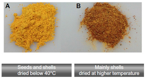 Figure 6 Rose hip powders with different constituents and drying temperatures.