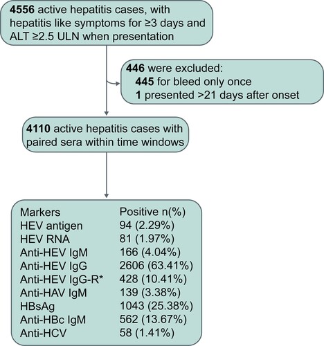 Figure 1. Profiles of active hepatitis patients during the period of observation. Hepatitis E virus (HEV)-related markers were measured in serial serum samples from active hepatitis patients; markers of hepatitis A virus (HAV), hepatitis B virus (HBV), and hepatitis C virus (HCV) were identified in the serum samples of patients at presentation. HBsAg: hepatitis B surface antigen. Anti-HBc IgM: anti-hepatitis B core protein IgM. Anti-HAV IgM: anti-hepatitis A virus IgM. Anti-HCV: anti-hepatitis C virus antibodies. Anti-HEV IgG-R: a ≥ 4-fold rise in anti-HEV IgG levels.