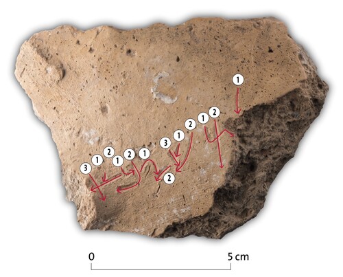Figure 6 Sherd with arrows indicating the direction and sequence of strokes.