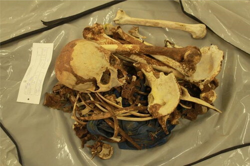 Figure 1. Skeletal remains as they were found in Case 1.