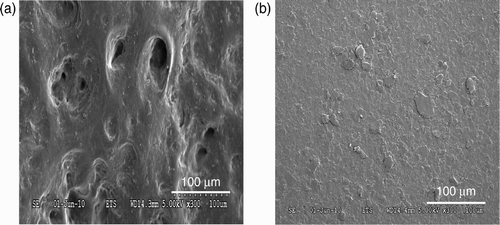 Figure 8. (a) SEM images of the nitrile rubber and (b) butyl rubber external glove surface after 7 h of dynamic biaxial deformations.