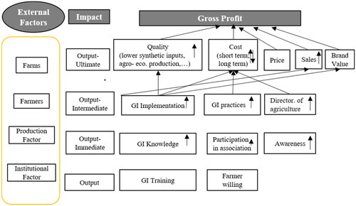 Figure 1. Theory of Change: Showing a logic of GI-labelled sugar beans production to assess the profit effect (Source: Adopted from Pamuk et al., Citation2022).