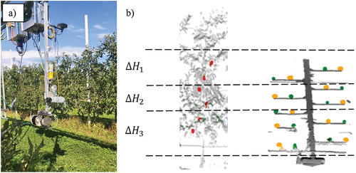 Figure 3. a) Field experimental sensor frame set-up, b) Outline of one tree with apples marked (red) and tree simulator with spheres of small (green) and large (orange) size. Heights of in-field scanned objects are marked.