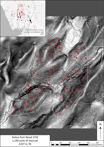 Figure 9. Potential charcoal burning platforms at Dalton Park Wood, as mapped from LiDAR imagery (© Environment Agency copyright and/or database right (2023). All rights reserved).