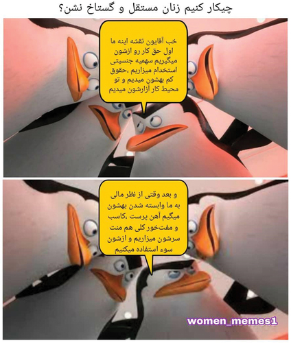 Figure 7. Penguins acting as MRA anti-feminists.