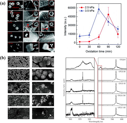 Figure 7. (a) SEM images of diamond particles grown at 2.5 kPa and variation of intensity of the SiV PL peaks of diamond particles grown at 2.5 and 3.5 kPa after 0, 30, 60, 90, and 120 min thermal oxidation [Citation7]. (b) SEM images, Raman spectra and PL spectra of flower-shaped diamond aggregates comprised of radially arranged diamond grains after different thermal oxidation times (0, 30, 40, 130, and140 min) [Citation66].