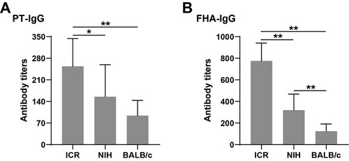 Figure 1. Levels of PT-IgG and FHA-IgG in different strains of mice after immunization. (A) and (B) represent the levels of PT-IgG and FHA-IgG in each strain of mice after immunization; * indicates P < .05, ** indicates P < .01. Sample size: n = 10. The antibody titre is represented by geometric mean and standard deviation.