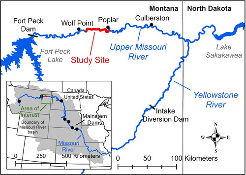 Figure 1. Map showing the location of the study area (in red) within the segment of the Upper Missouri River Basin between Fort Peck Dam and Lake Sakakawea. The inset map shows the location of this area (in green) within the broader Missouri River Basin.