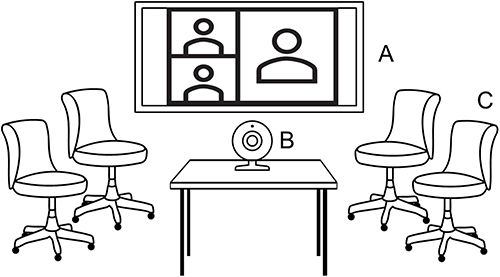 Figure 1 Hybrid group therapy set-up.