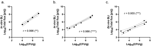 Figure 3. In vitro, in vivo, and ex vivo BLI signals correlate with their respective CFU counts.