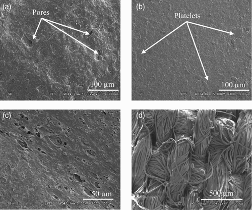 Figure 5. (a) SEM images of the surfaces of nitrile rubber, (b) butyl rubber, (c) PE–PP non-woven coverall and (d) laboratory coat.