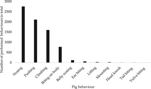 Figure 7. Descriptive statistics on total frequency of social interactions performed by the female piglets during the in total 1568 min (23.1 h) of continous observations of the female gilts in the study.