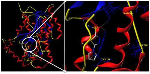 Figure 12 Docking conformation of compound 8a (capped sticks model in atom type color) at the active site (yellow dotted lines indicate H-bond).