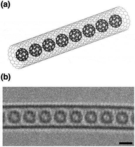 Figure 19. Structure of fullerene peapods: (a) Molecular model of C60 molecules encapsulated in (18,0) single-walled CNT, (b) Aberration-corrected TEM image of C60 fullerene peapods. Here, the black scale bar is 1 nm.