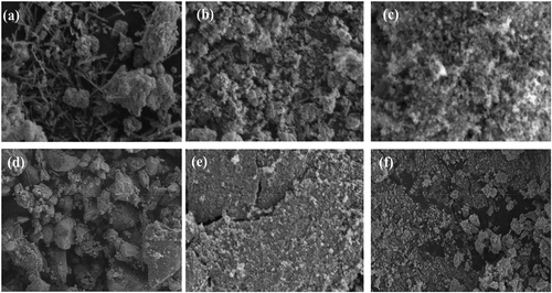 Figure 6. SEM of Solanum lycopersicum leaf extract mediated synthesized (a–c) ZnO and (d–f) Co3O4 NPs.