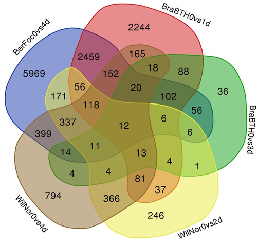 Figure 2. DEG Venn diagram for common genes. The sum of the numbers in the Venn diagram represents the total number of DEGs. The amount of DEGs is shown by the overlap. BerFoc0d: control sample of Berangan; BerFoc4d: FocTR4, 4 days treated; BraBTH0d: FocTR4, 0 day treated; BraBTH1d: FocTR4, 1 day treated; BraBTH3d: FocTR4, 3 days treated; WilNor0d: control sample of Williams cultivar; WilNor2d: 2-day-old normal sample of Williams cultivar; WilNor4d: 4-day-old normal sample of Williams cultivar.