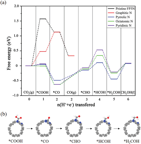 Figure 13. (a) Free energy diagrams of different catalytic sites for pristine and N-doped FP5Ns. (b) Configurations for the intermediates of •COOH, •CO, •CHO, •HCOH, and •H2COH for CO2ER on the octatomic N [Citation92].