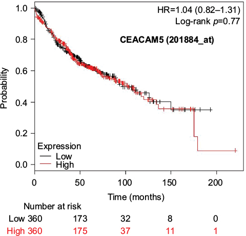 Figure 4 Kaplan–Meier survival curves of the higher and lower expression groups divided by the median value of CEACAM5 (Jetset probe, 201884_at) in patients with adenocarcinoma.