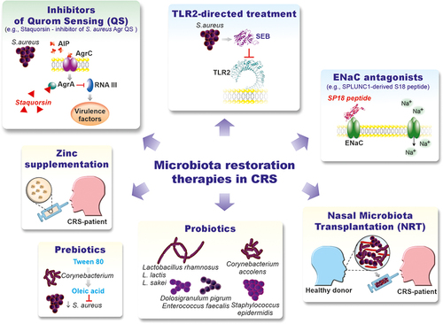 Figure 5 Microbiota restoration therapies in CRS.